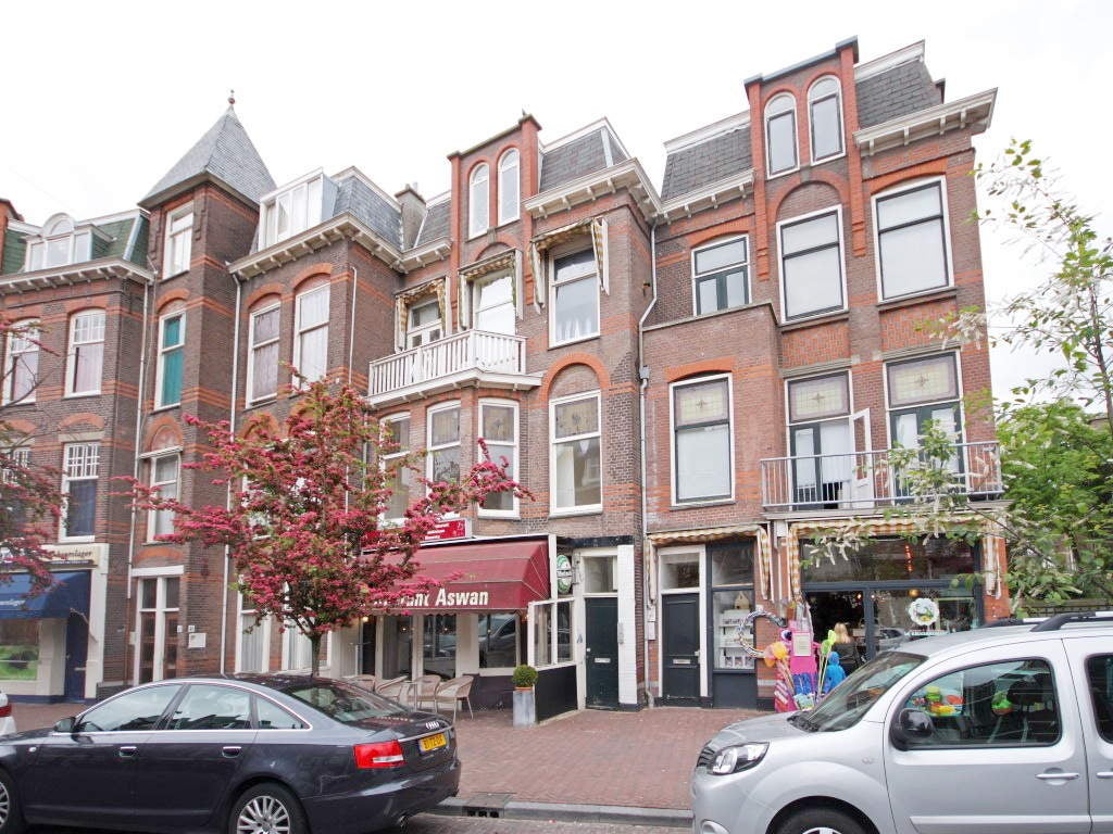 Aert van der Goesstraat