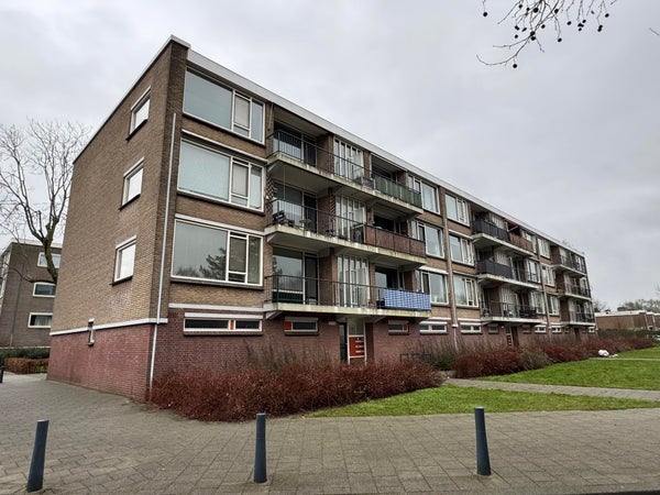 Fichtestraat in Rotterdam