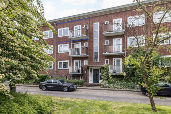 apartments for rent on Meidoornstraat 53