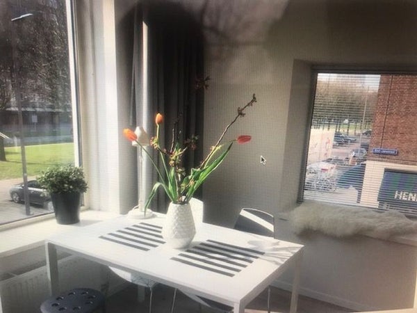 Appartement Groenendaal in Rotterdam