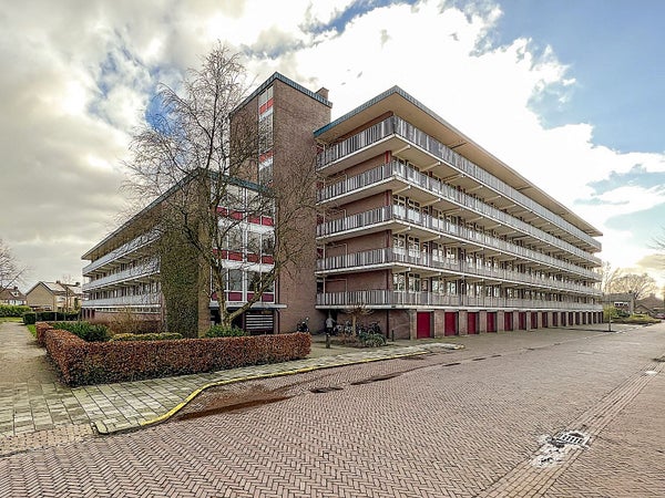 Flat Zwin 9 in Assen