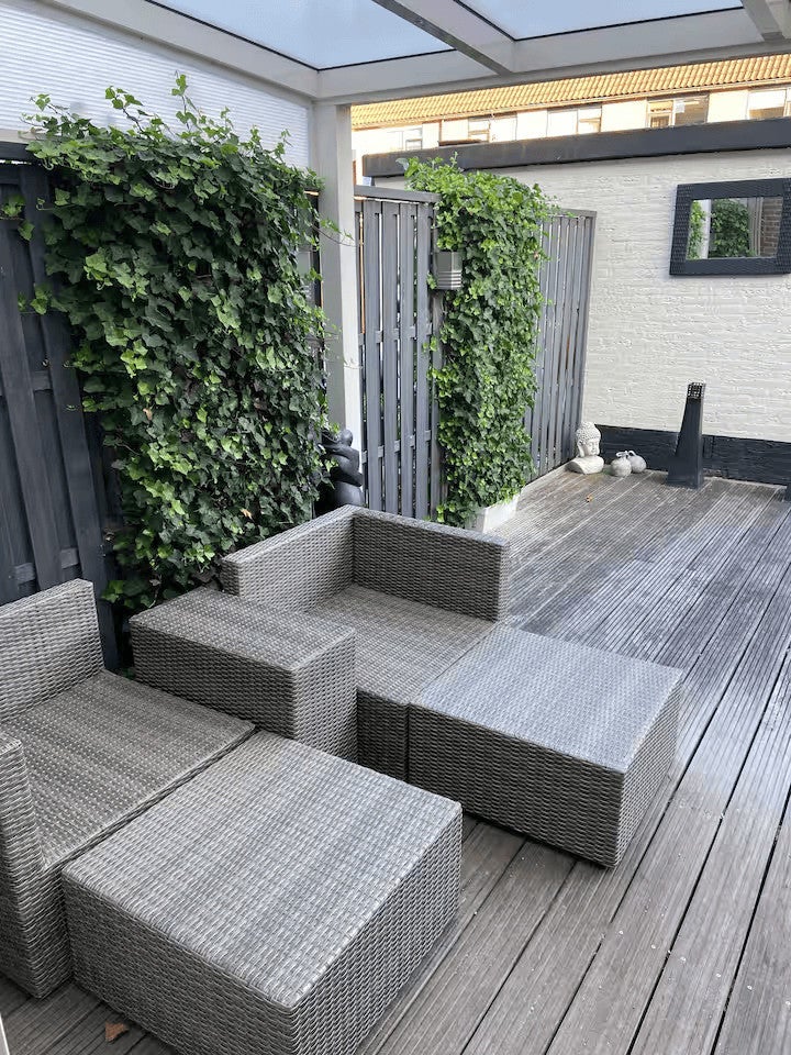 Woning te huur: Damastbloem, Breukelen