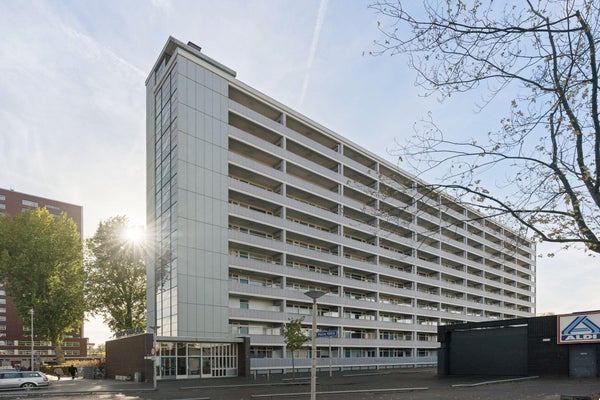 Flat Plein 1953 in Rotterdam