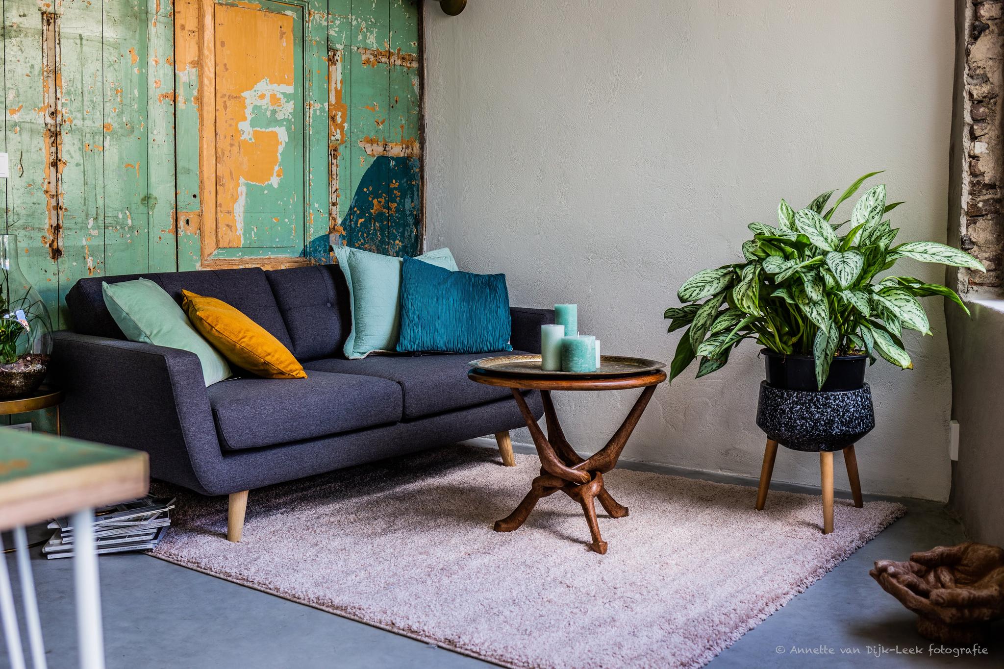 Te huur Appartement Burgwal 3 ZW in Haarlem