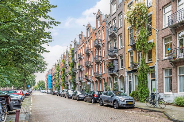 Domselaerstraat