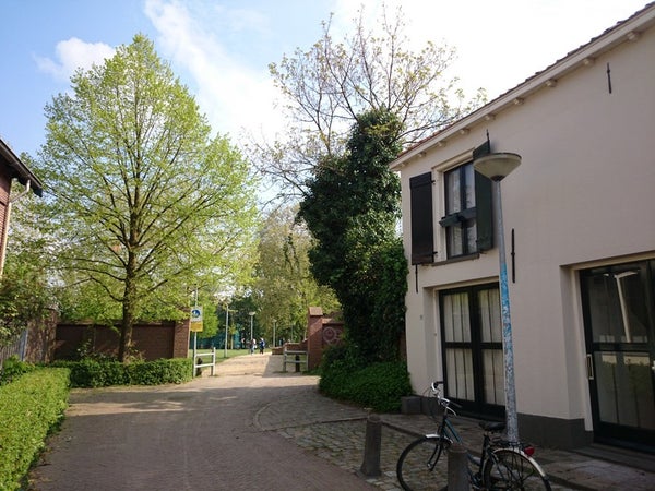 Studio Molenstraat in Wageningen