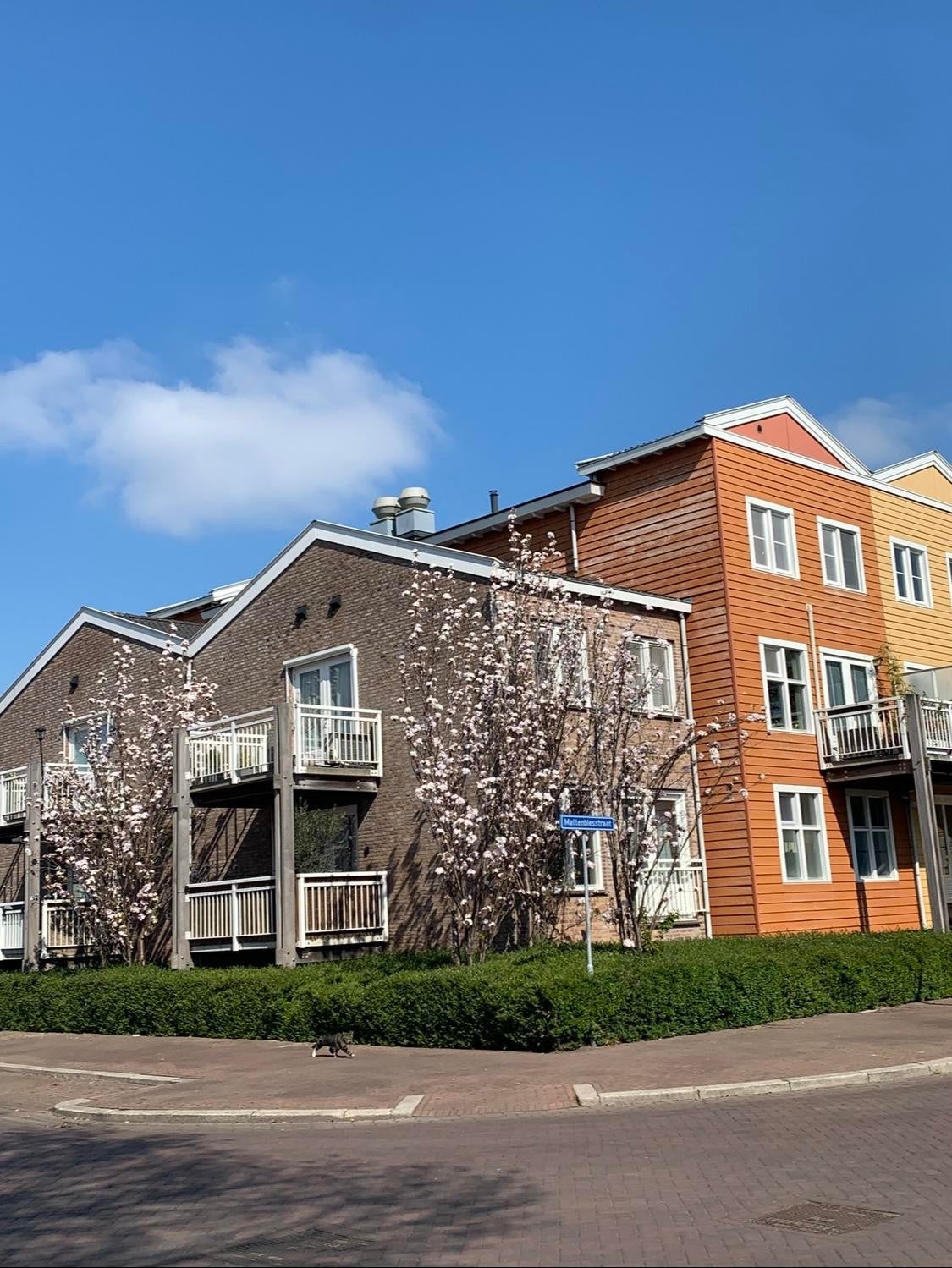 Flat Mattenbiesstraat 2