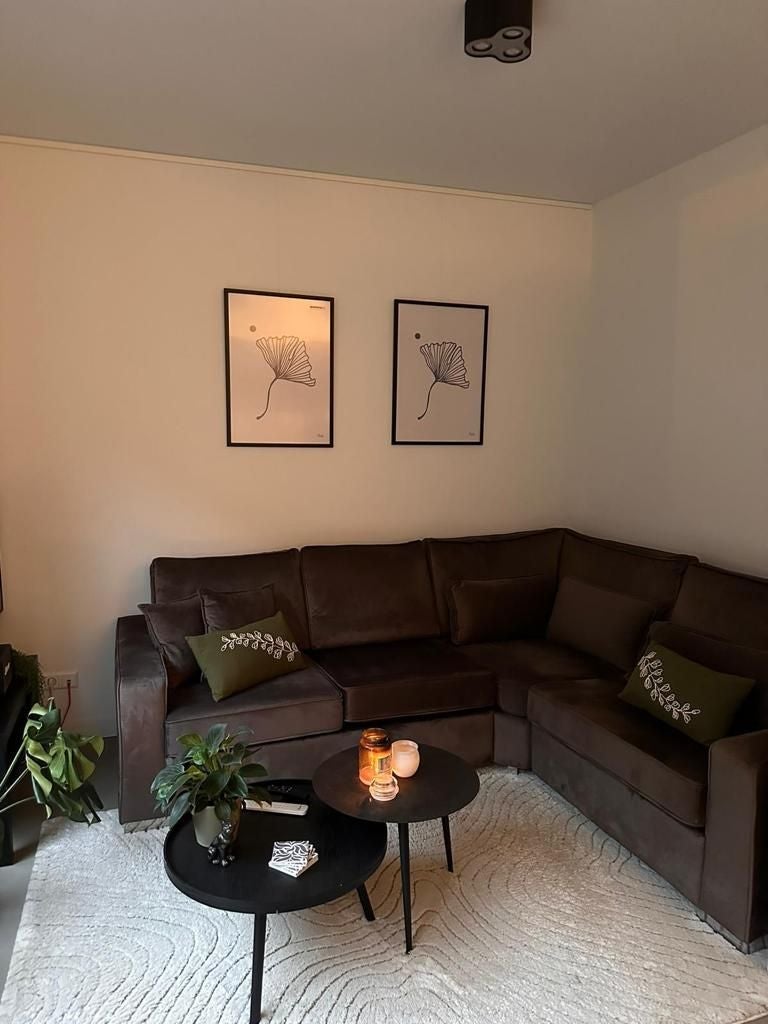 A rental house advertisment