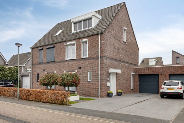 Lijster 3