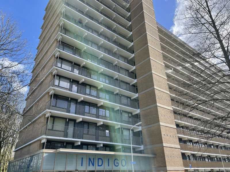 Appartement Indigostraat in Zaandam