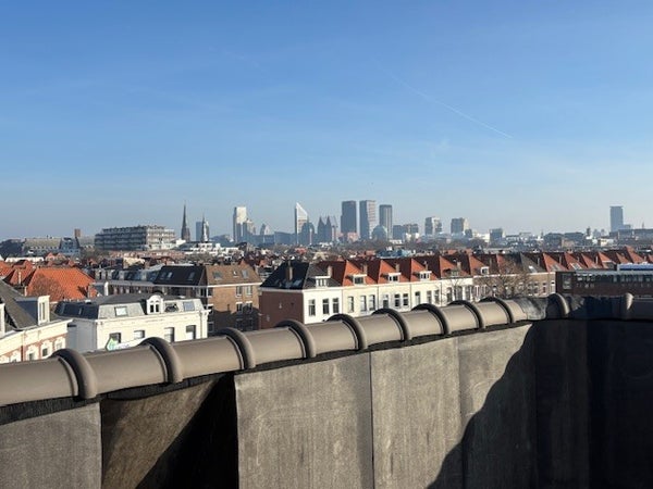Flat Zoutmanstraat 44 R