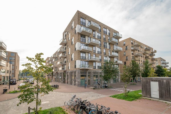 Flat Nida Senffstraat 75
