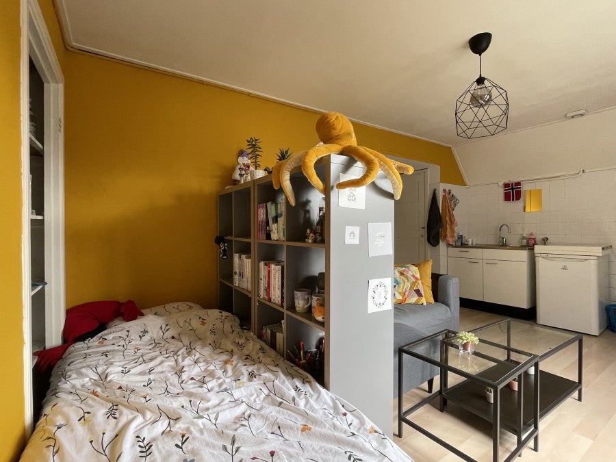 Kamer te huur: Treurnietsgang, Deventer
