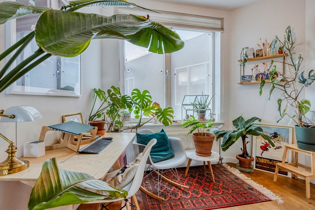 Te huur Appartement Tolhuisstraat in Rotterdam