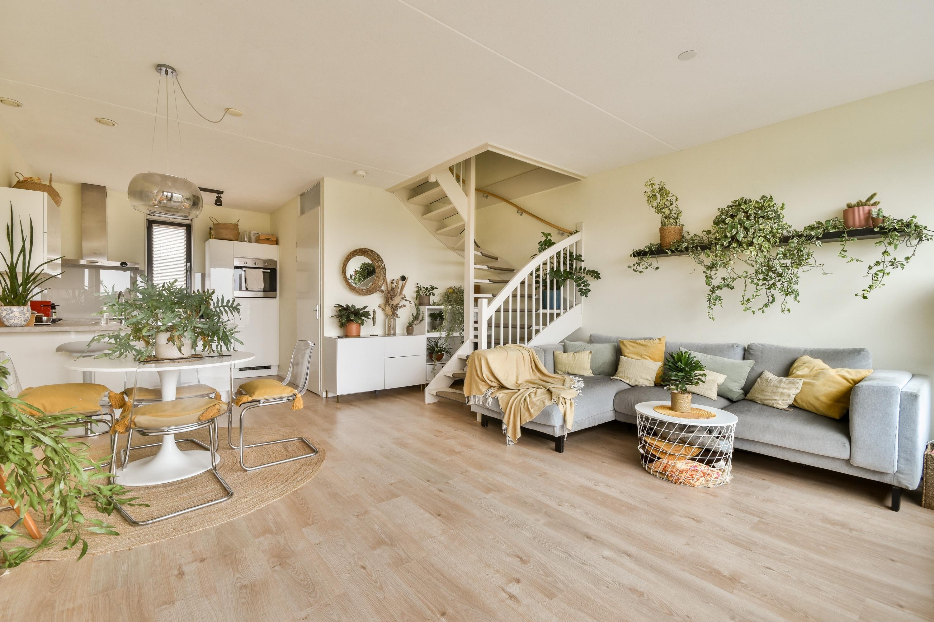 Flat Eva Besnyöstraat