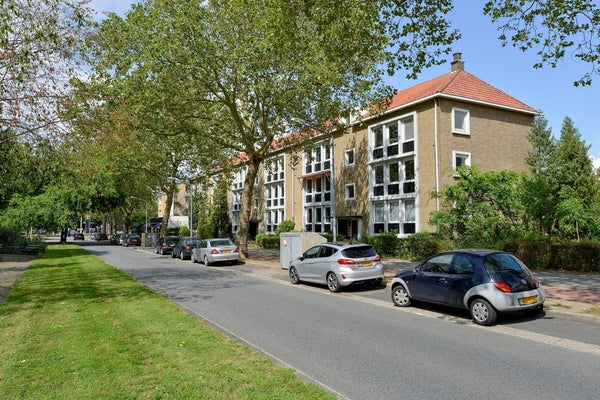 vrije-sector-woningen te huur op Diependaalselaan