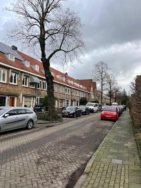 Musschenbroekstraat