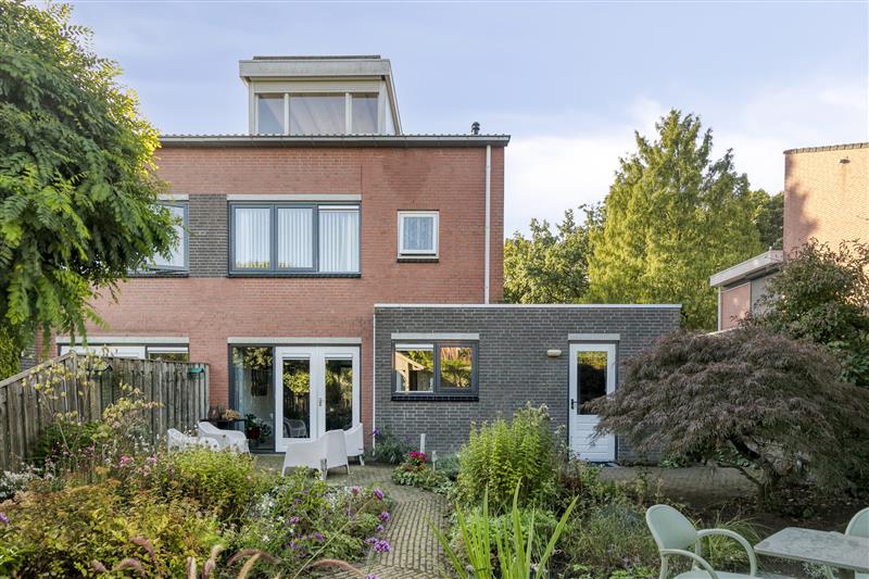 Koningskinderen