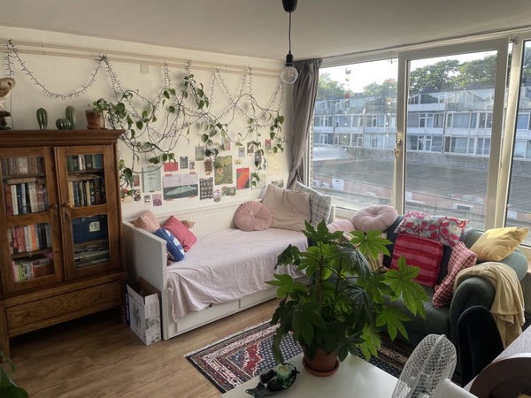 Chambre Daniël Josephus Jittastraat à Tilburg