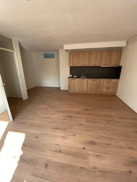 vrije-sector-woningen te huur op Bongastate 20