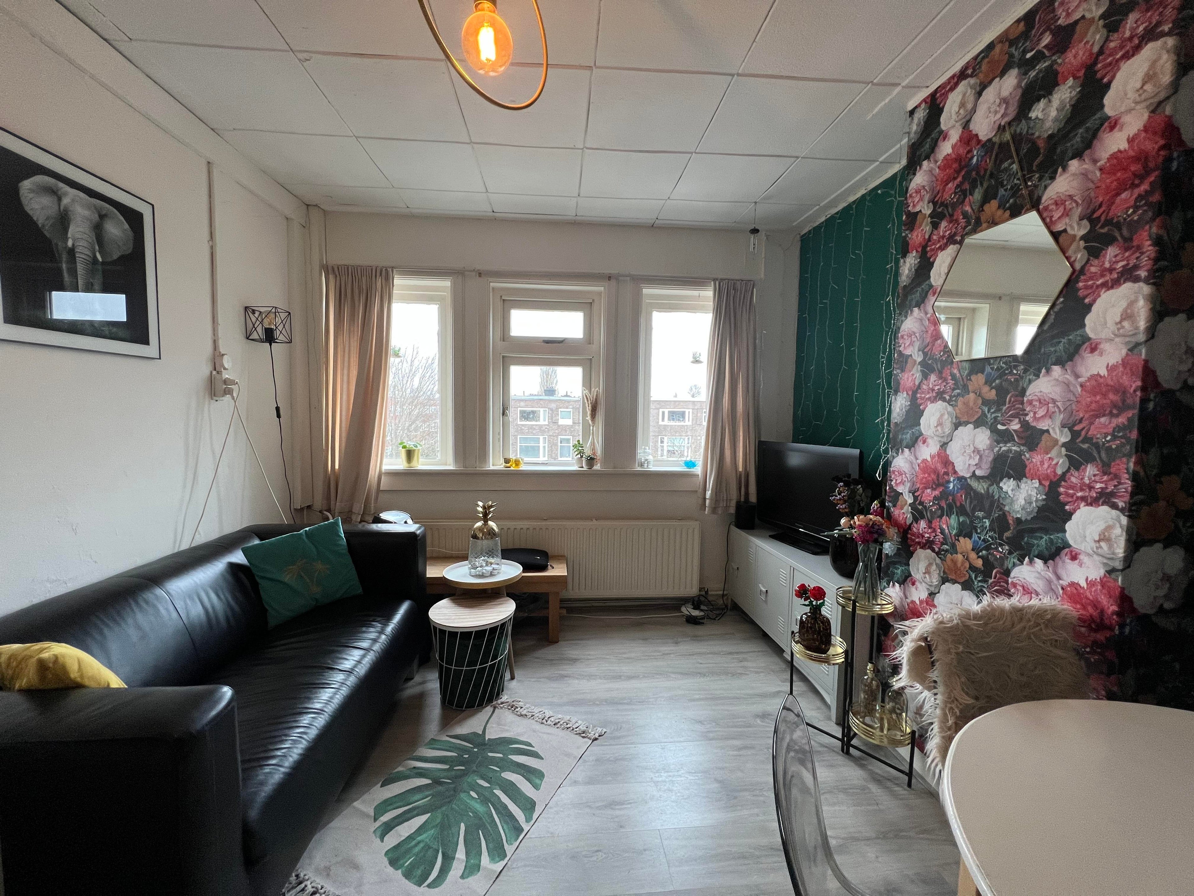 Room Oppenheimstraat