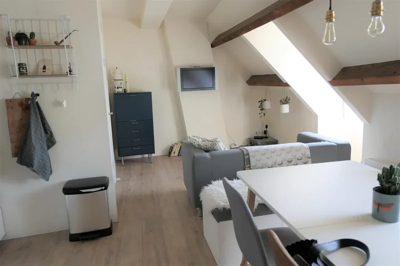 Te huur Appartement Brusselsestraat in Maastricht