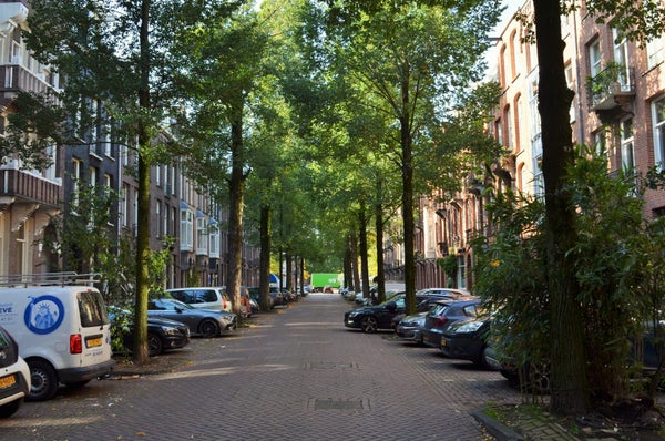 Te huur: Appartement Johannes Verhulststraat in Amsterdam