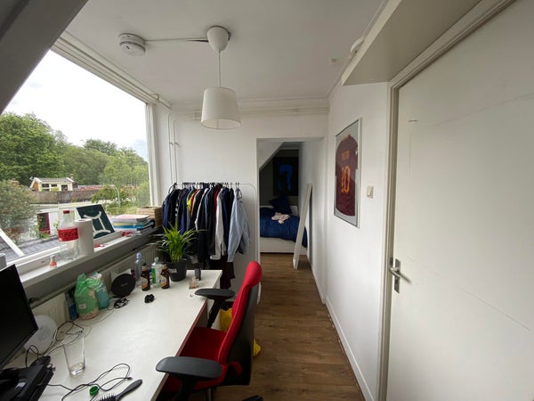 Zimmer Bergstraat in Groningen