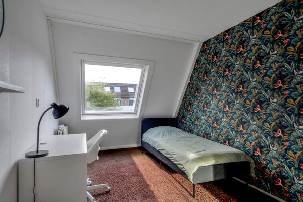 Stanza Molecatensingel a Rotterdam