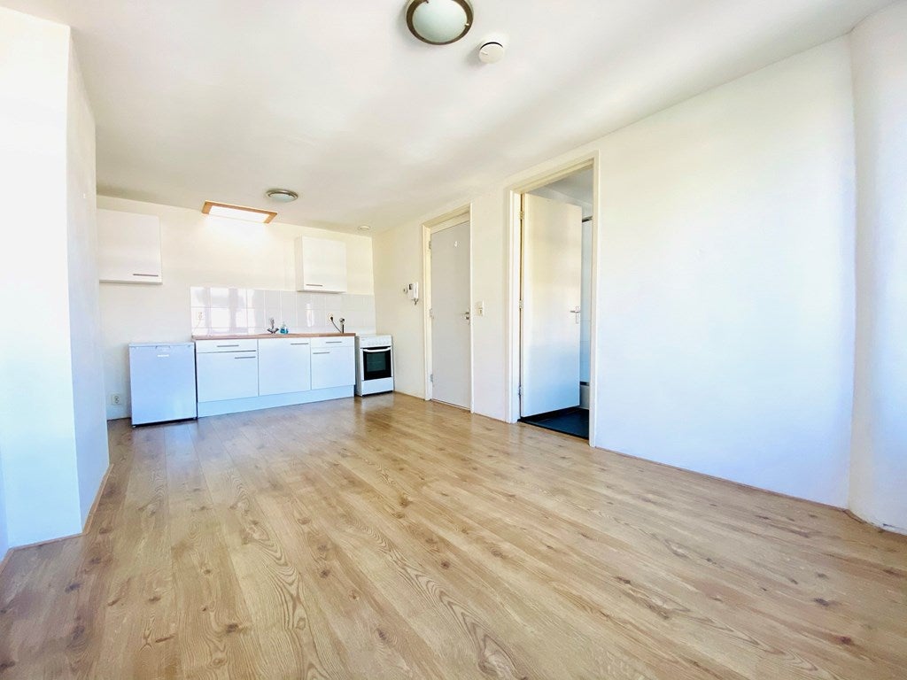 Flat Rodenrijselaan 30 A 02A