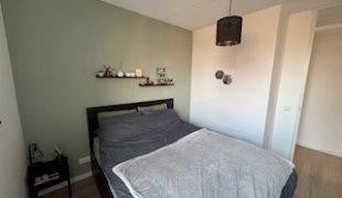 Woning te huur: Meerring, Eindhoven
