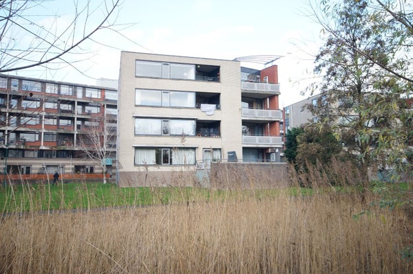 Appartement Virulypad in Leiden