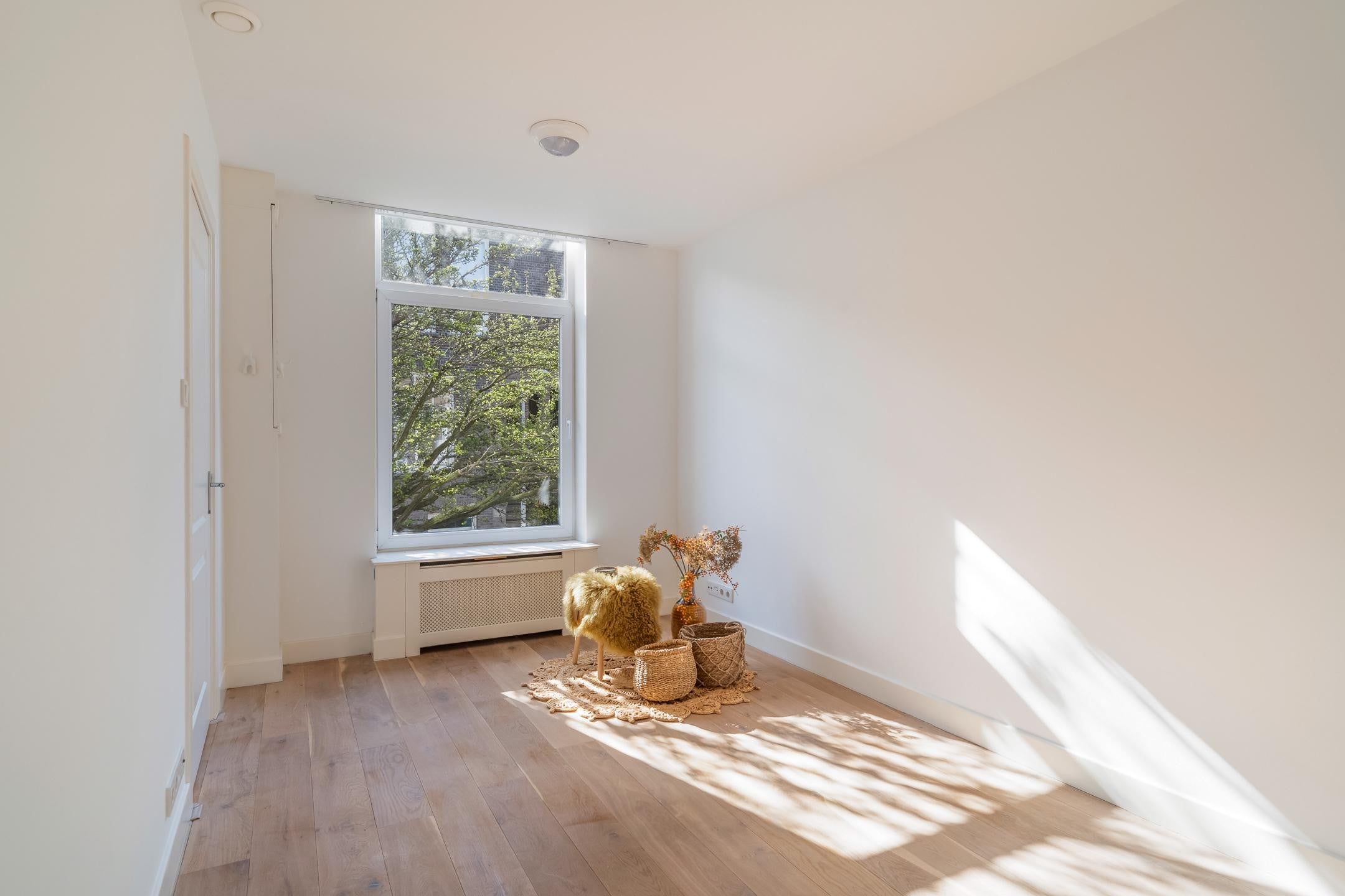 Appartement Esdoornstraat 109 IVZ in Den Haag