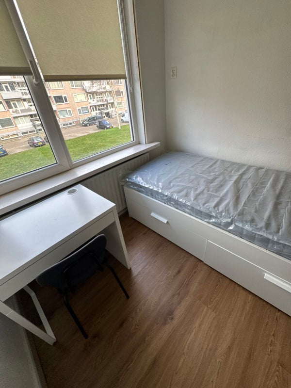 Studio Europalaan en Tilburg