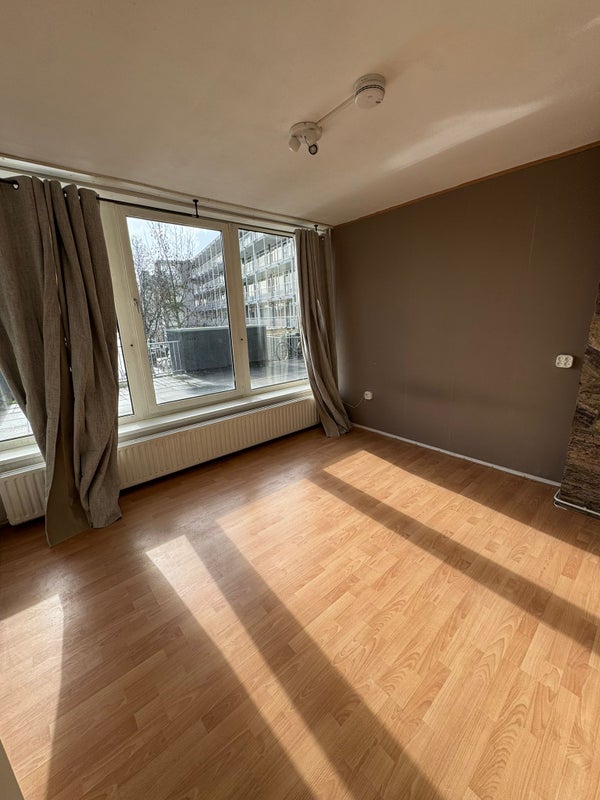 Studio Epelenberg in Breda