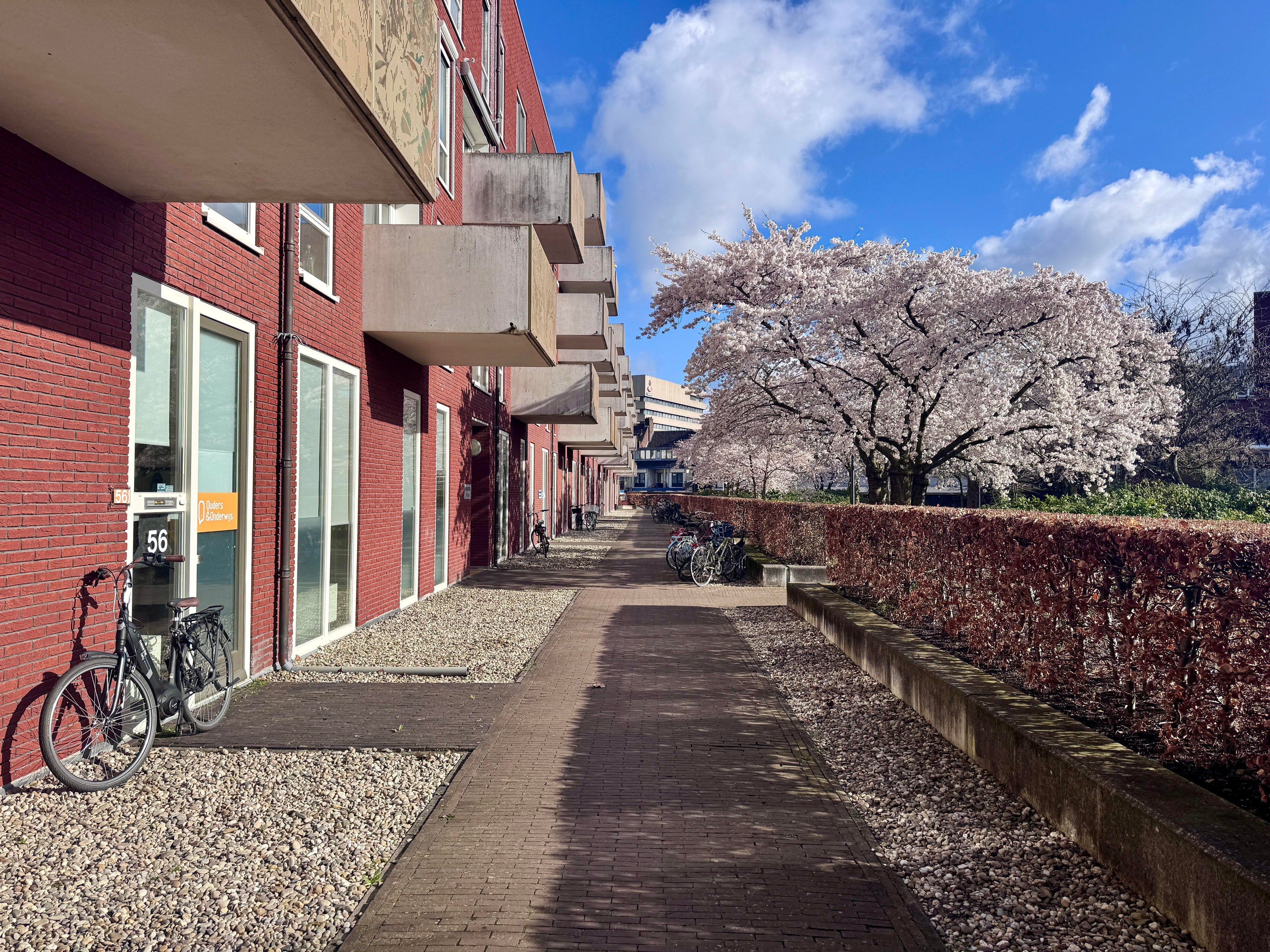 Flat Groenmarktstraat 6
