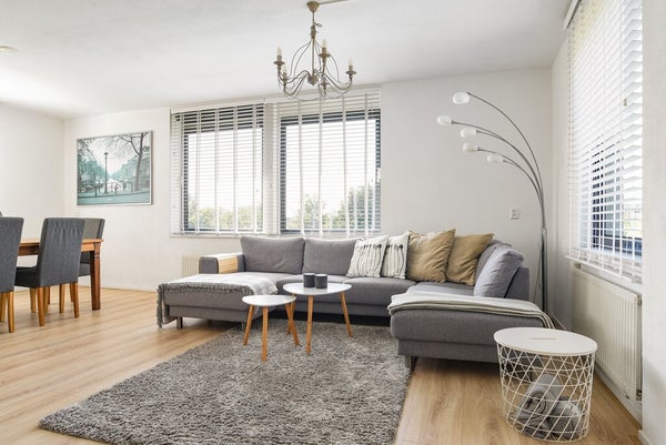 Appartement Ladogameerhof 19 in Amsterdam