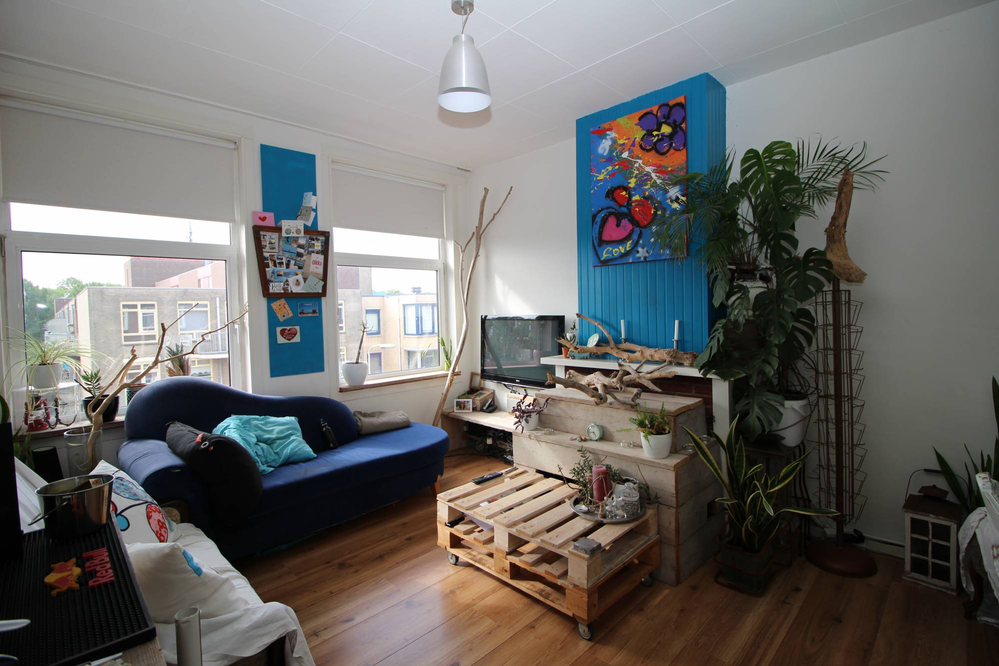 Flat Pluvierstraat