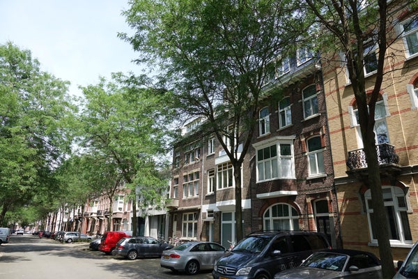 Flat Alexander Battalaan