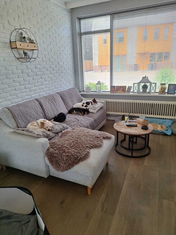 Alphenseweg, Gilze en Rijen