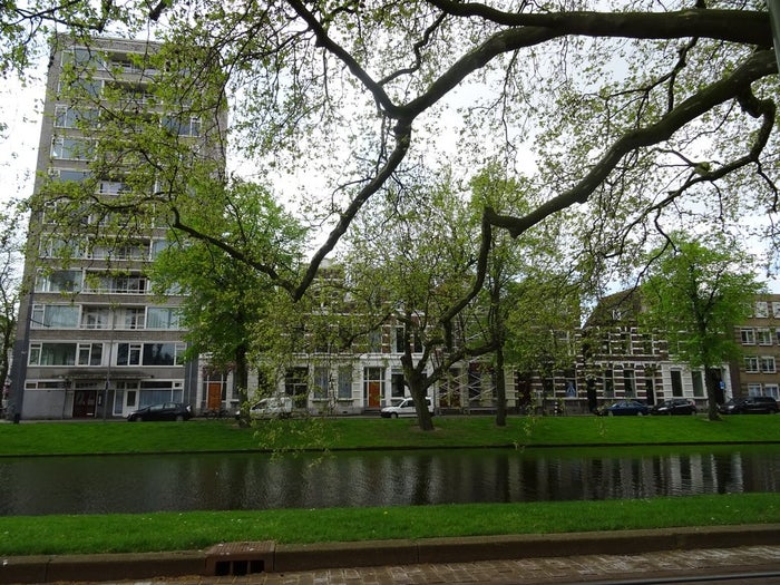 Te huur: Appartement Noordsingel 216 A in Rotterdam