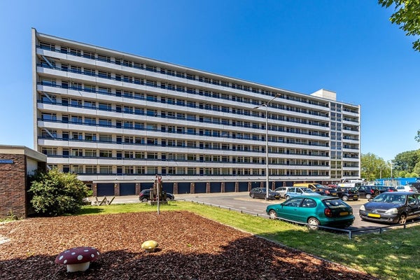 Te huur: Kamer Gildemeestersplein in Arnhem