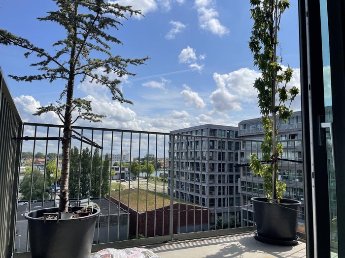 Te huur: Appartement Christoffelkruidstraat 94 A in Amsterdam