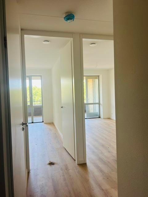 Woning te huur: De Zaling, Dronten