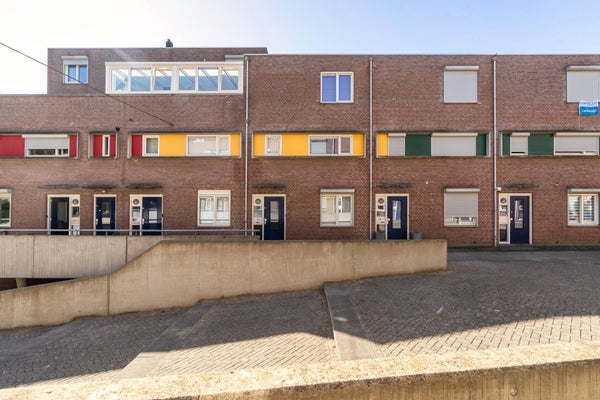 Papyrussingel