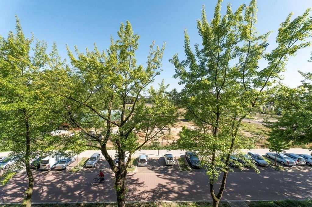 appartement Koningsplein Maastricht