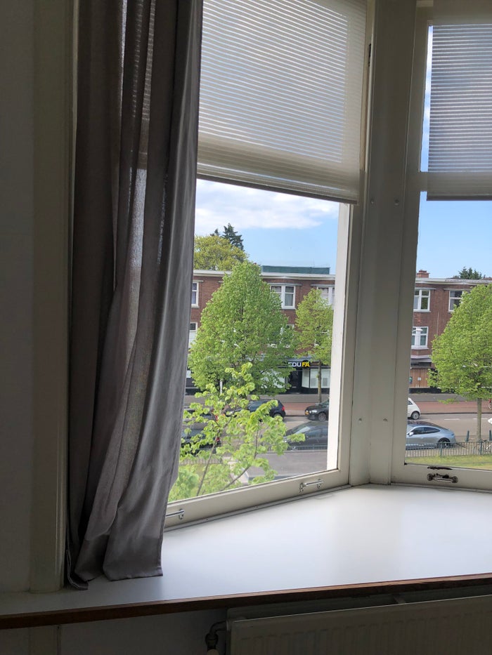 Te huur: Kamer Apeldoornselaan in Den Haag