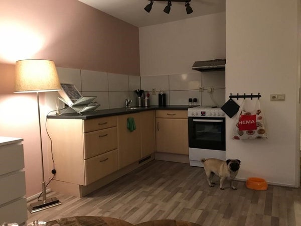 Appartement Wilhelminastraat in Enschede