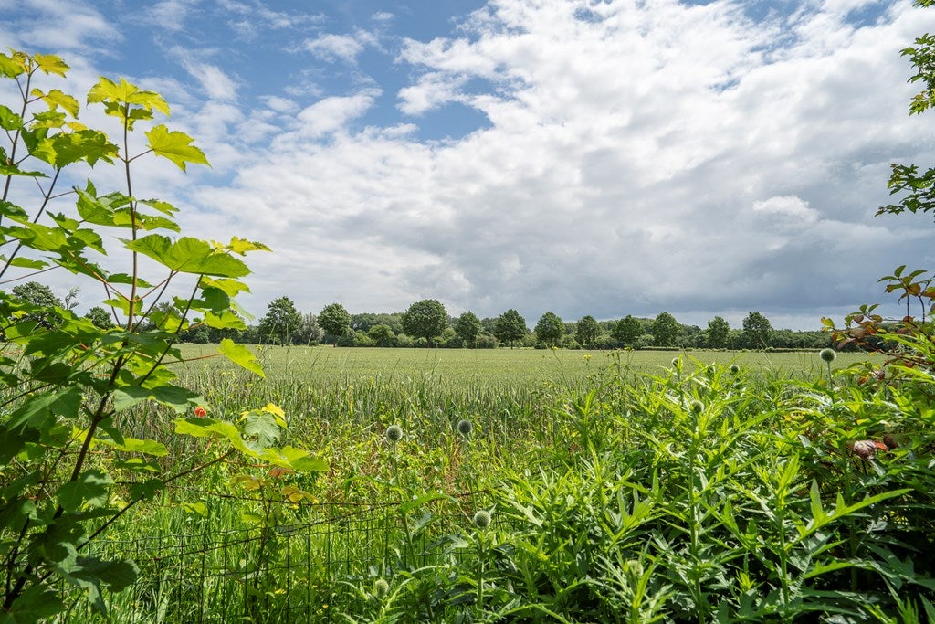 Twee-onder-één-kap te koop: Randenborgweg 24, Nieuwstadt