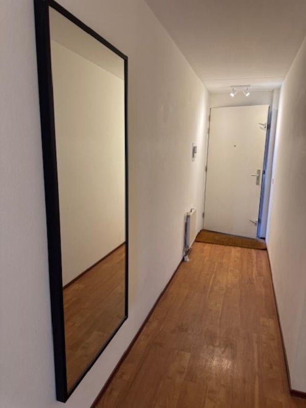 Te huur Appartement Ruychaverstraat in Haarlem